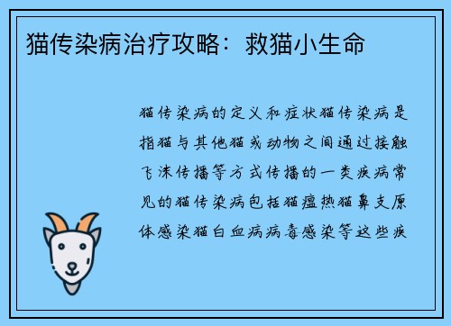 猫传染病治疗攻略：救猫小生命